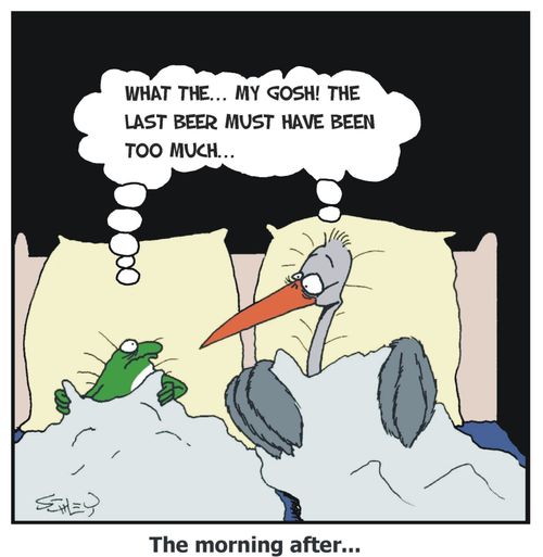 The Morning After...