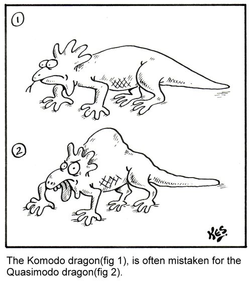 The Komodo dragon(fig 1),is often mistaken for the Quasimodo dragon(fig 2).