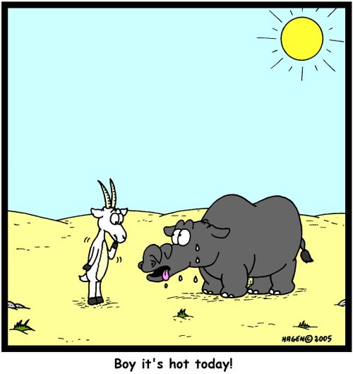 'Boy it's hot today!'