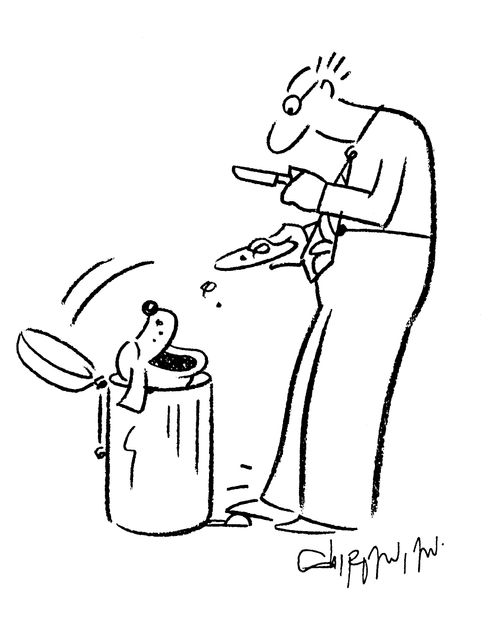 Dog hides in the bin to collect the leftover scraps.