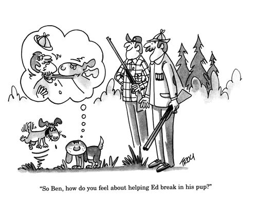 'So Ben, how do you feel about helping Ed break in his pup?'