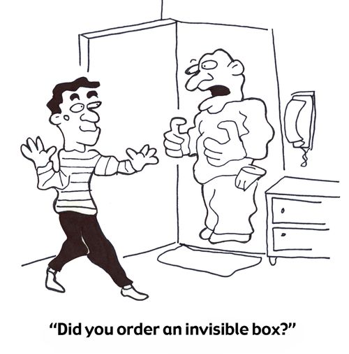 'Did you order an invisible box?'