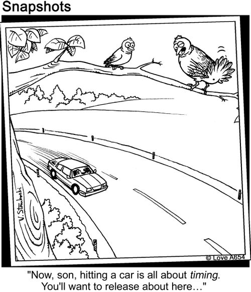 "Now, son, hitting a car is all about timing. You'll want to release about here..."