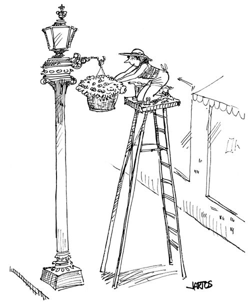 Hanging flower basket