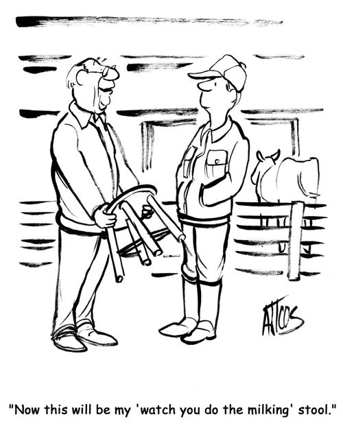 'Now this will be my 'watch you do the milking' stool.'