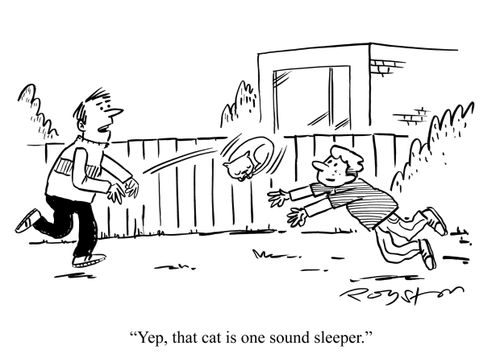 'Yep, that cat is one sound sleeper.'