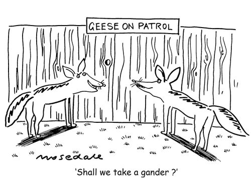 'Shall we take a gander?'