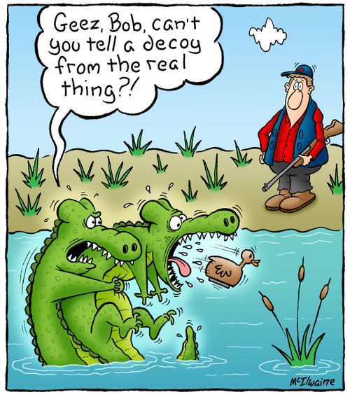 Geez, Bob, can't you tell a decoy from the real thing?'
