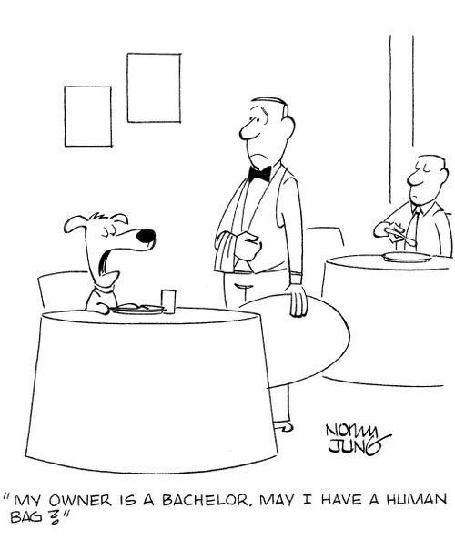 'My owner is a bachelor. May I have a human bag?'