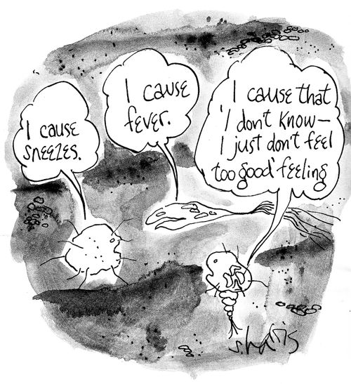 'I cause sneezes.' 'I cause fever' 'I cause that 'I don't know- I just don't feel too good' feeling.'
