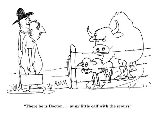 There he is Doctor...puny little calf with the scours.