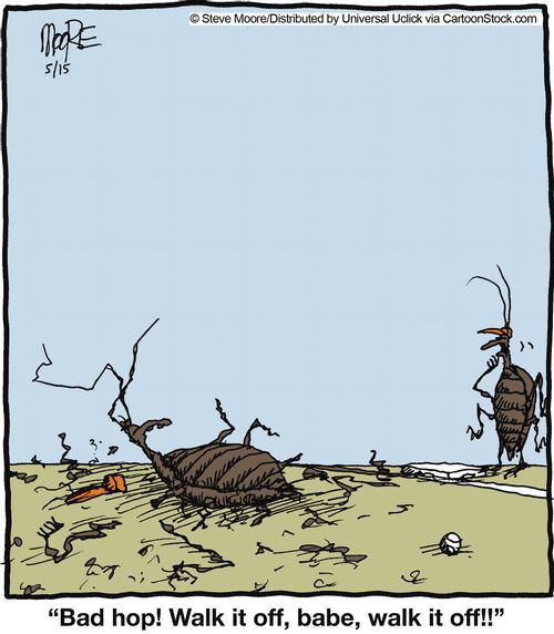 'Bad hop! Walk it off, babe, walk it off.'