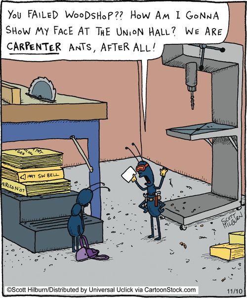 You failed woodshop?? How am I gonna show my face at the Union Hall? We are Carpenter Ants, after all!