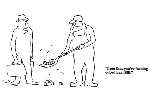 'I see that you're feeding cubed hay, Bill.'