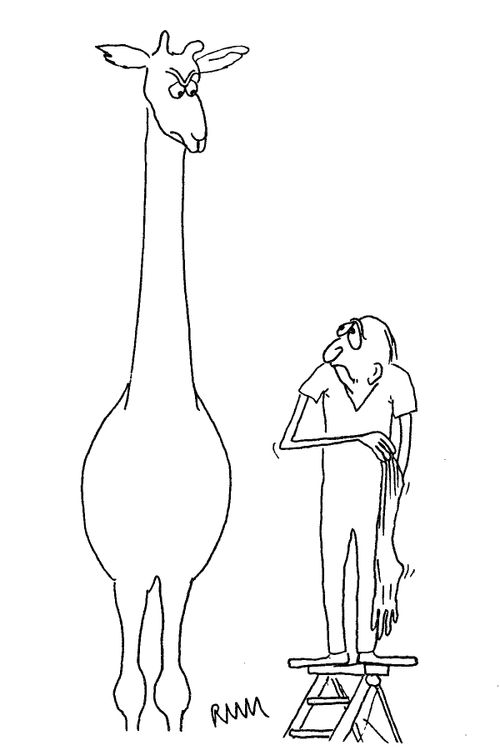 Giraffe and Gloves.