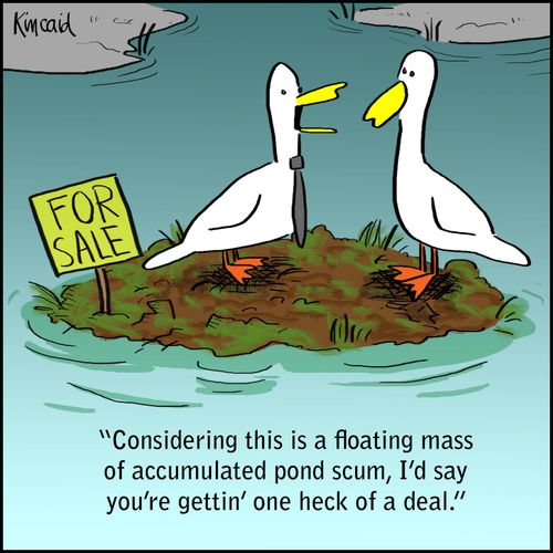'Considering this is a floating mass of accumulated pond scum, I'd say you're gettin' one heck of a deal.'