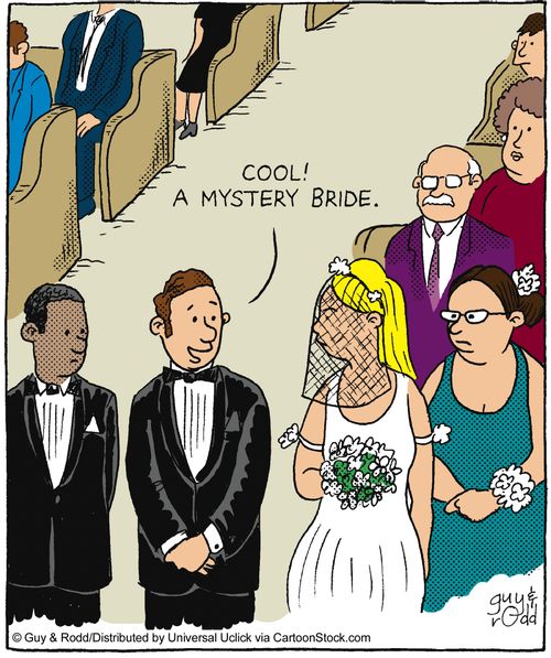 'Cool! A mystery bride.'