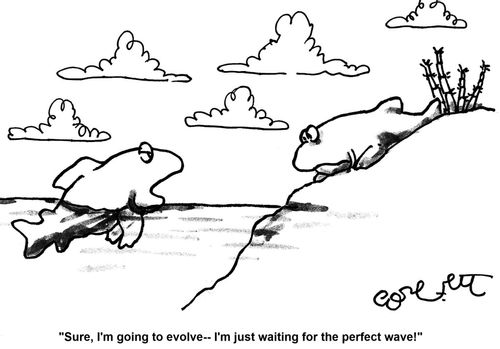 'Sure, I'm going to evolve - I'm just waiting for the perfect wave!'