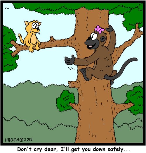 'Don't cry dear, I'll get you down safely...'