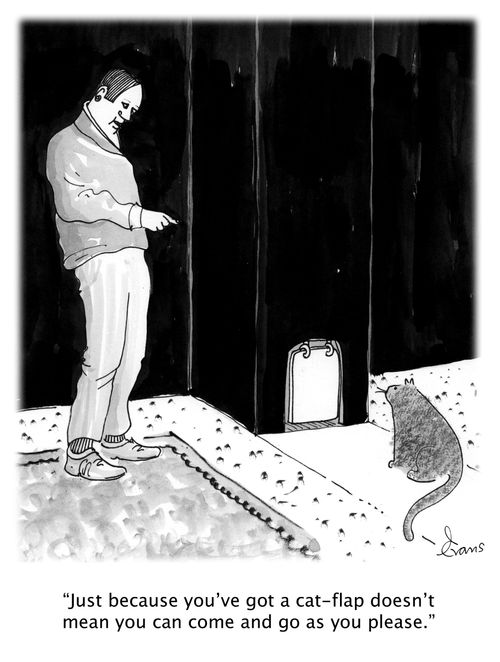'Just because you've got a cat-flap doesn't mean you can come and go as you please.'