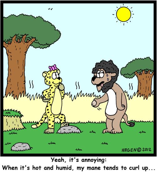 'Yeah, it's annoying: When it's hot and humid, my mane tends to curl up...'