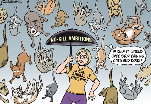 No-Kill Ambitions.