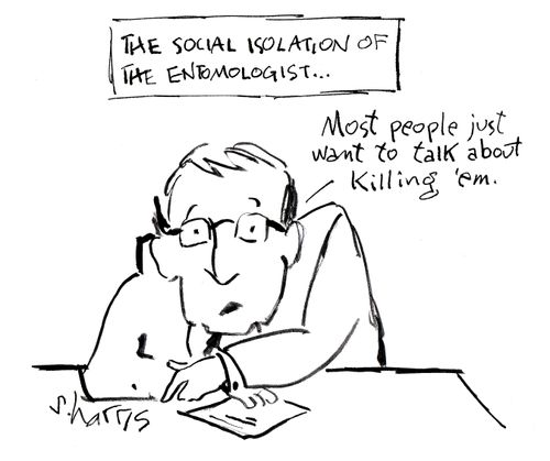 The social isolation of the entomologist: 'Most people just want to talk about killing 'em.'