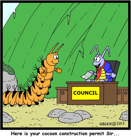 'Here is your cocoon construction permit Sir...'