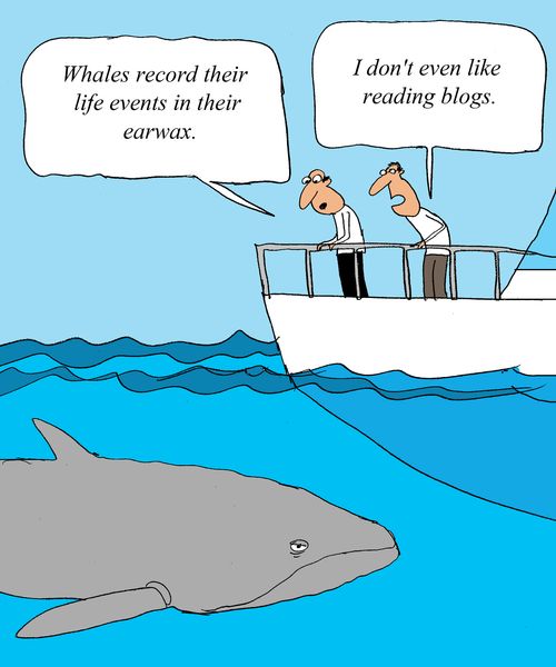 'Whales record their life events in their earwax.' 