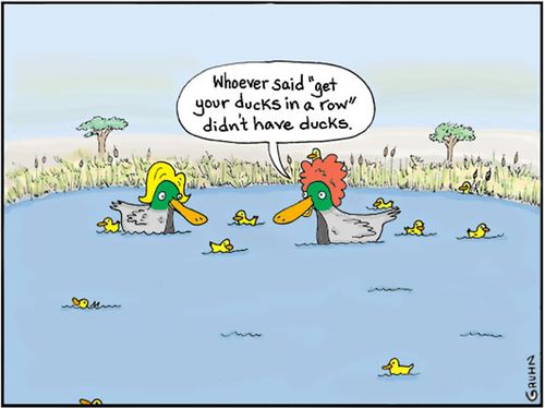 'Whoever said 'get your ducks in a row' didn't have ducks.'