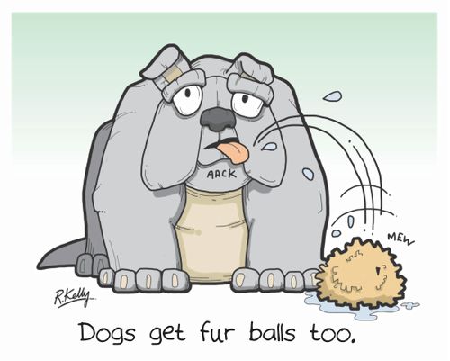 Dogs get fur balls too.