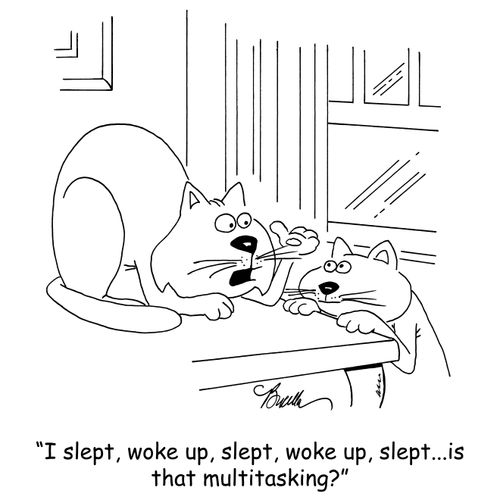 'I slept, woke up, slept, woke up, slept...is that multitasking?'