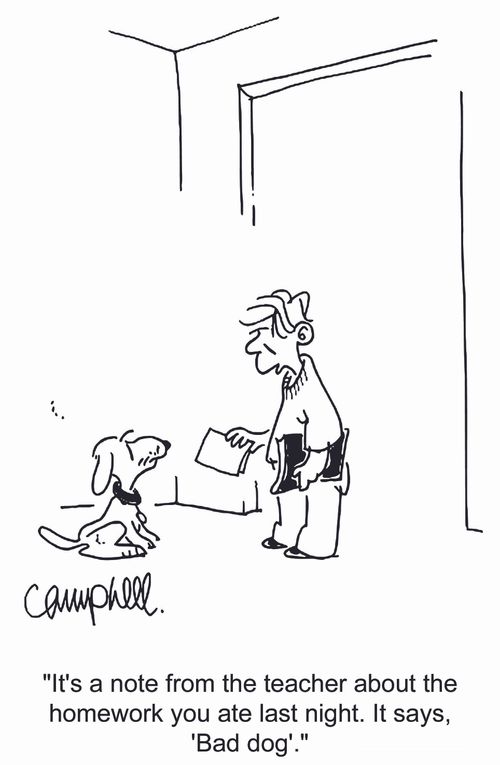 'It's a note from the teacher about the homework you ate last night. It says 'Bad dog'.'