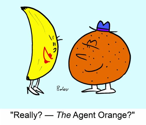 'Really? - The Agent Orange?'
