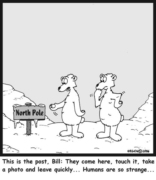 'This is the post, Bill: They come here, touch it, take a photo and leave quickly... Humans are so strange...'
