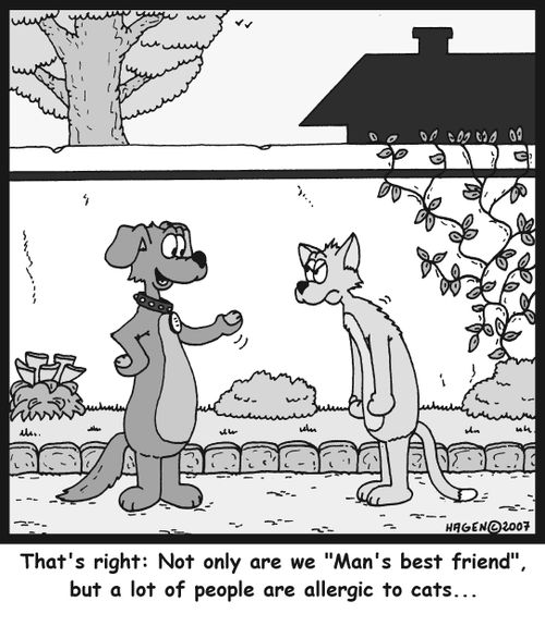 That's right: Not only are we 'Man's best friend', but a lot of people are allergic to cats...