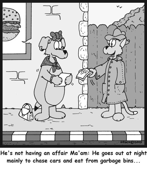 'He's not having an affair Ma'am: He goes out at night mainly to chase cars and eat from garbage bins...'