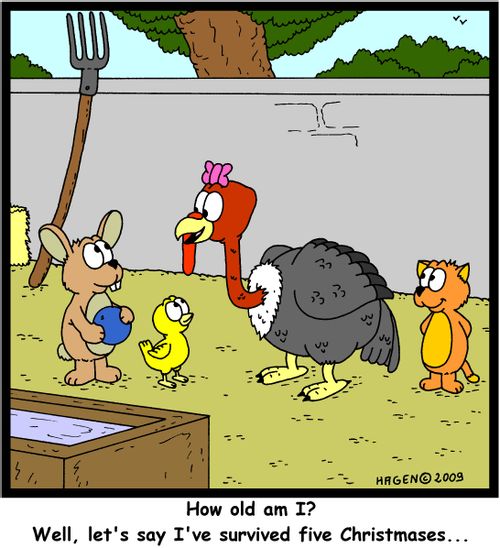 'How old am I? Well, let's just say I've survived five Christmases...'