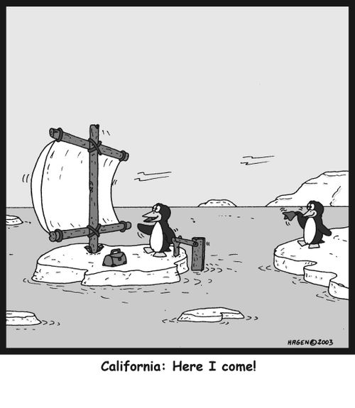 'California: Here I come!'