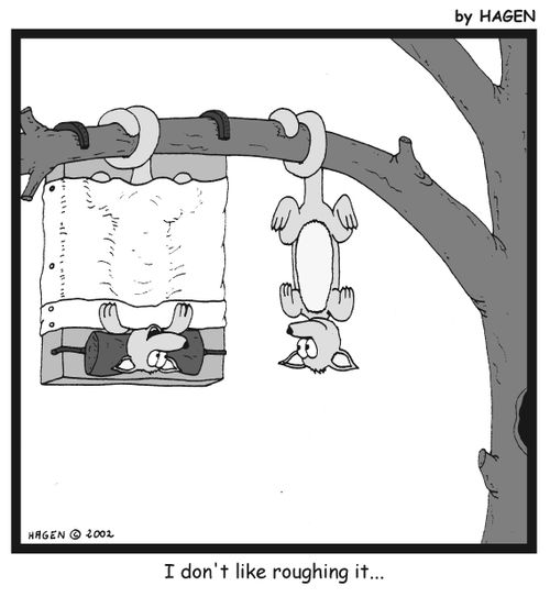 'I don't like roughing it...'
