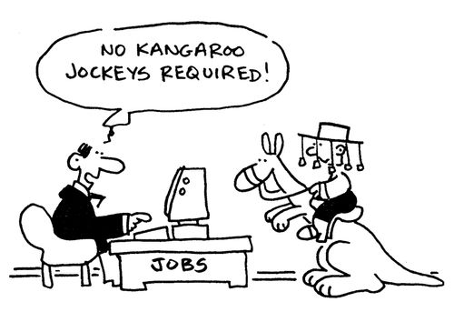 'No kangaroo jockeys required!'