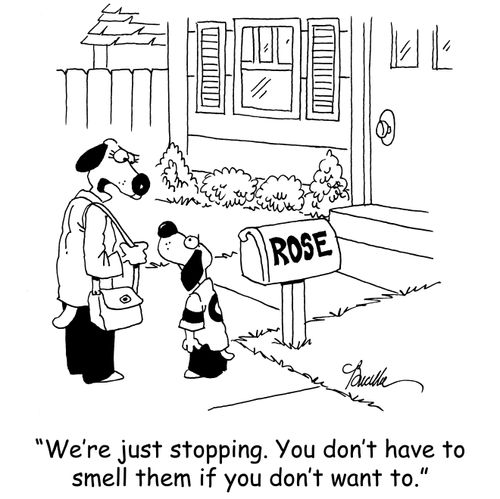 'We're just stopping. You don't have to smell them if you don't want to.'