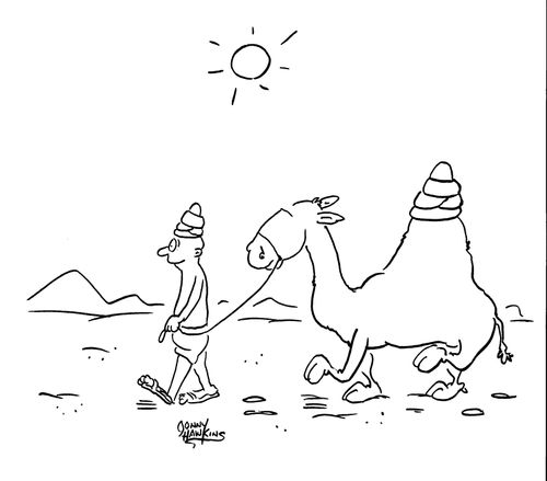 Camel wearing sun hat on hump