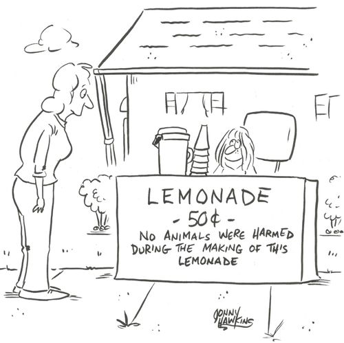Lemonade Stand with Disclaimer: 'No animals were harmed during the making of this lemonade.'