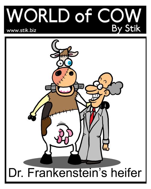 Dr. Frankenstein's heifer,