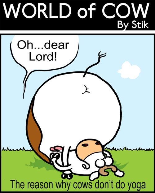 The reason why cows don't do yoga.