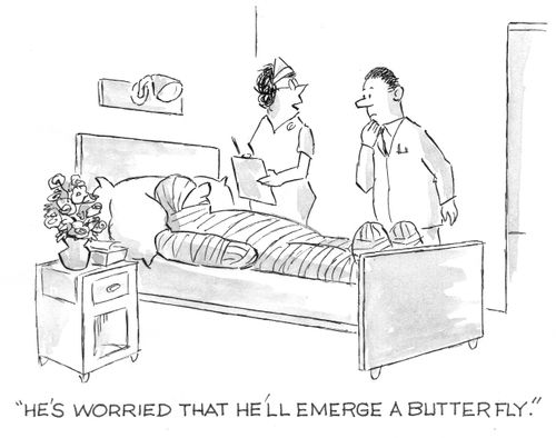 'He's worried that he'll emerge a butterfly.'