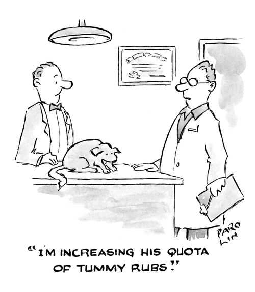 'I'm increasing his quota of tummy rubs.'