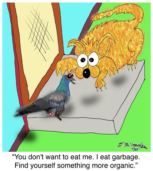 'You don't want to eat me. I eat garbage. Find yourself something more organic.'