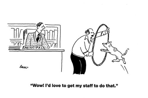 'Wow I'd love to get my staff to do that.'